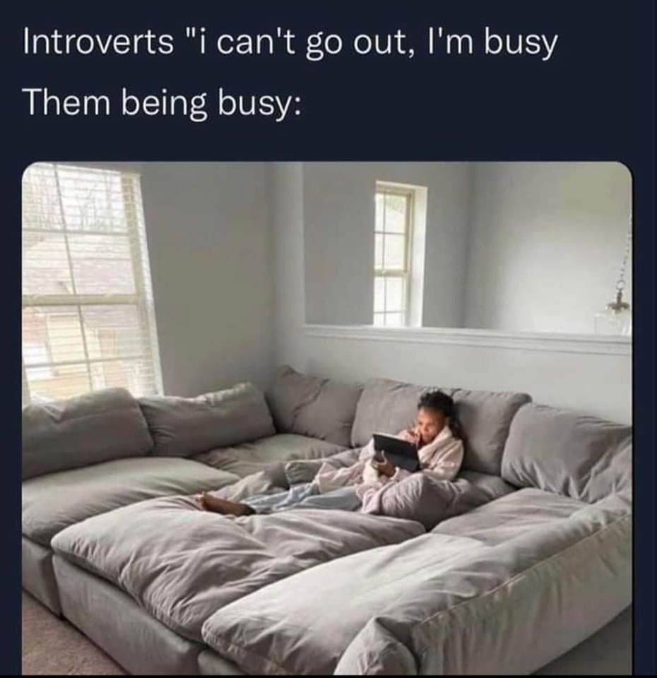 funny memems and tweetscan t go out i m busy - Introverts "i can't go out, I'm busy Them being busy