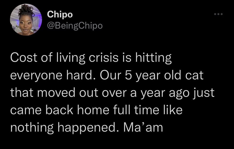 word escape - Chipo Cost of living crisis is hitting everyone hard. Our 5 year old cat that moved out over a year ago just came back home full time nothing happened. Ma'am