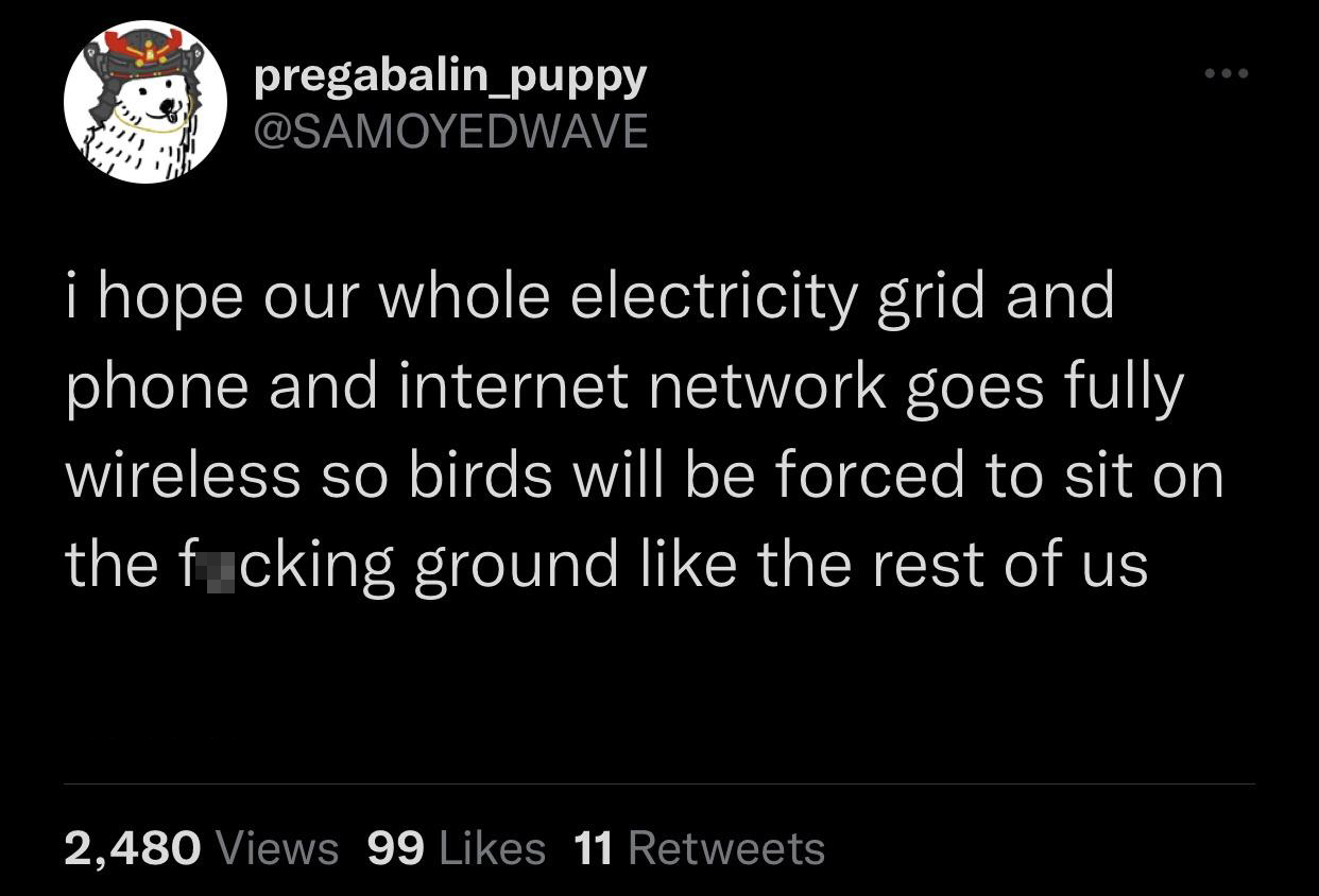 only 3 prime ministers till christmas - 1 pregabalin_puppy i hope our whole electricity grid and phone and internet network goes fully wireless so birds will be forced to sit on the fucking ground the rest of us 2,480 Views 99 11