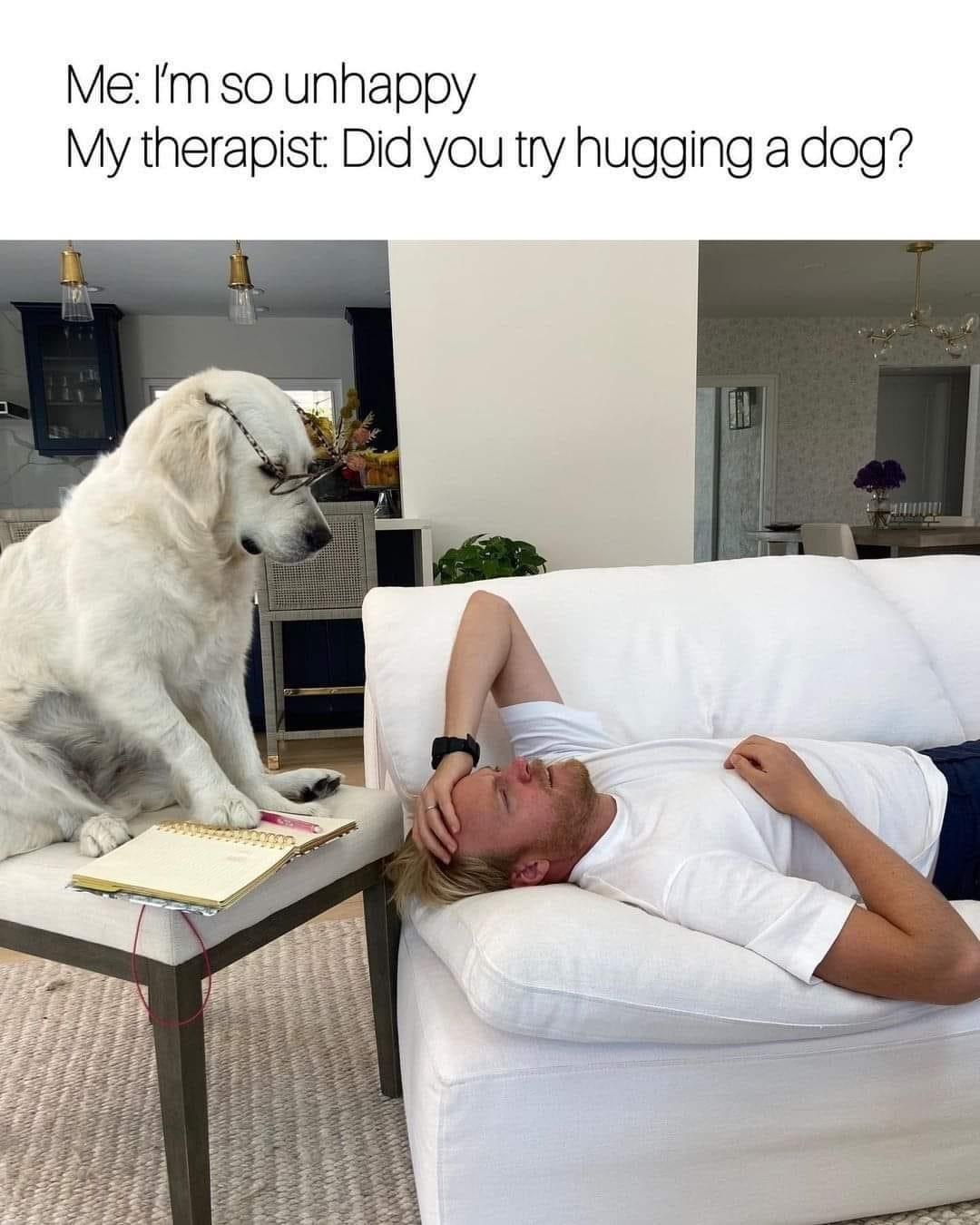 dank memes - dogs therapy meme - Me I'm so unhappy My therapist Did you try hugging a dog? Muodo