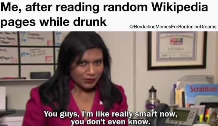 funny memes pics and tweets - im like really smart now - Me, after reading random Wikipedia pages while drunk Dreams You guys, I'm really smart now, you don't even know. Scranton