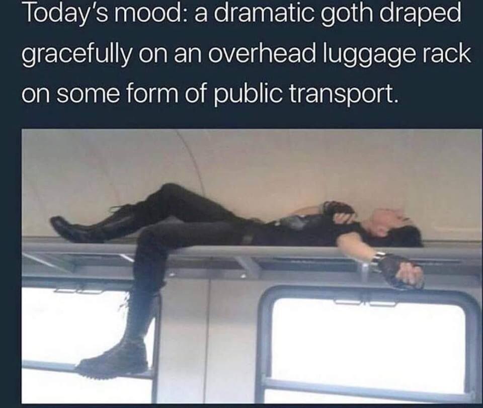 dank memes - photo caption - Today's mood a dramatic goth draped gracefully on an overhead luggage rack on some form of public transport.