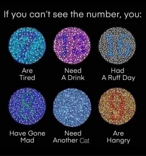 dank memes - if you can t see the number - If you can't see the number, you Are Tired Have Gone Mad Need A Drink Need Another Cat Had A Ruff Day Are Hangry