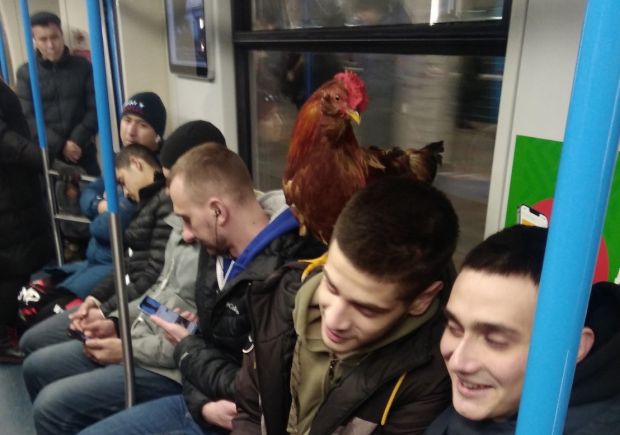 27 Weird Thing Seen In The Subway Probably Going To Their Valentine