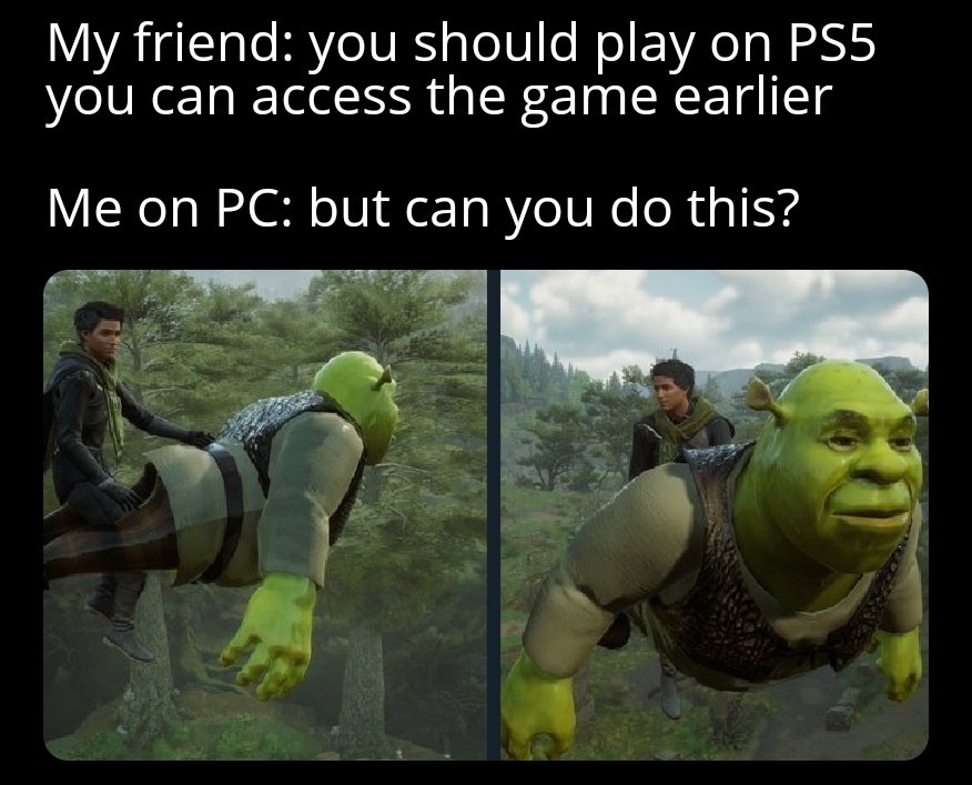 gaming memes for all - fauna - My friend you should play on PS5 you can access the game earlier Me on Pc but can you do this?