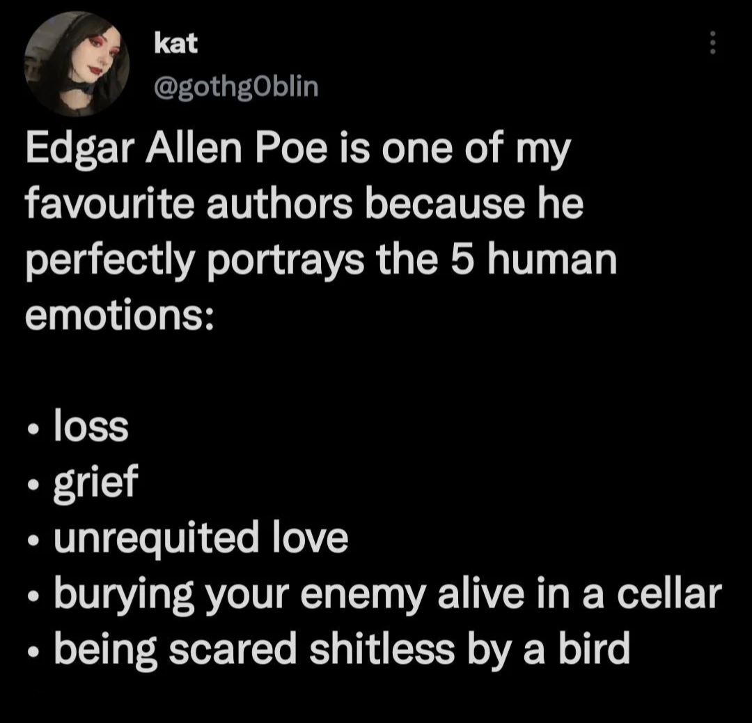 funny tweets memes and pics - screenshot - Edgar Allen Poe is one of my favourite authors because he perfectly portrays the 5 human emotions loss grief kat unrequited love burying your enemy alive in a cellar being scared shitless by a bird