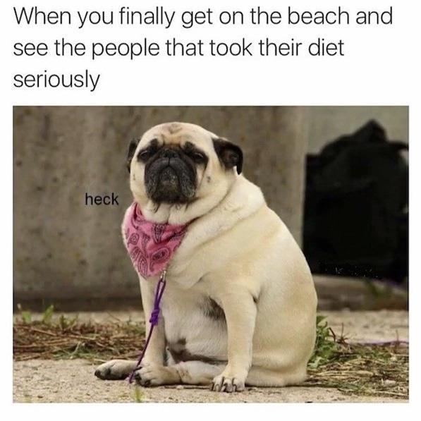 fresh memes - When you finally get on the beach and see the people that took their diet seriously heck