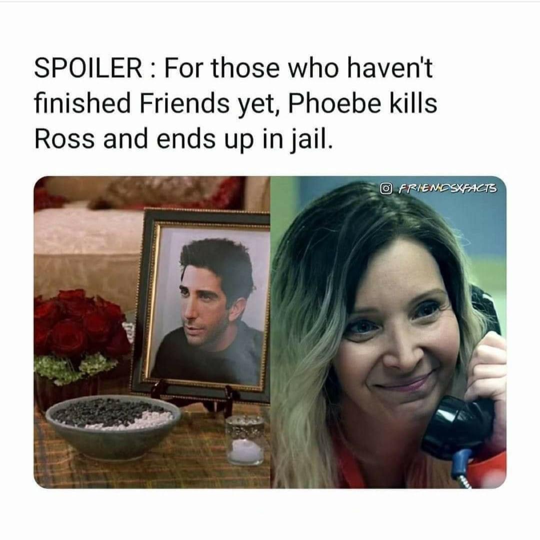 fresh memes - photo caption - Spoiler For those who haven't finished Friends yet, Phoebe kills Ross and ends up in jail. Friendsxfacts