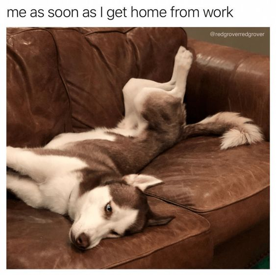 fresh memes - photo caption - me as soon as I get home from work