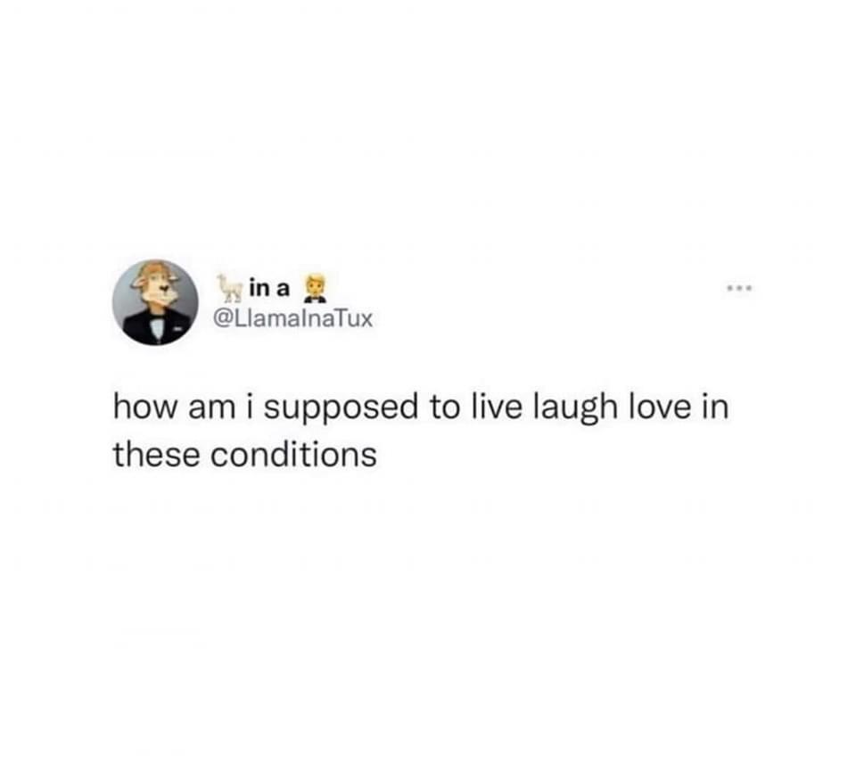 funny memes - in a how am i supposed to live laugh love in these conditions