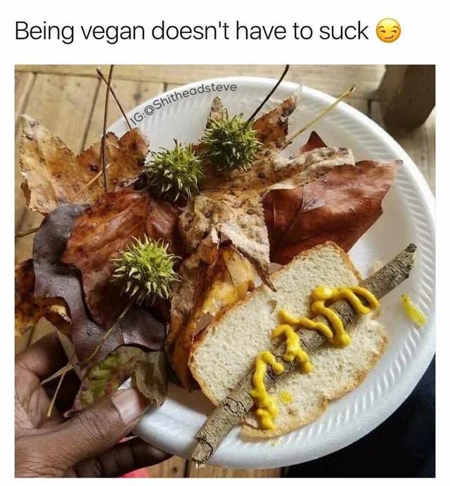 funny memes - vegan thanksgiving meme - Being vegan doesn't have to suck Ig