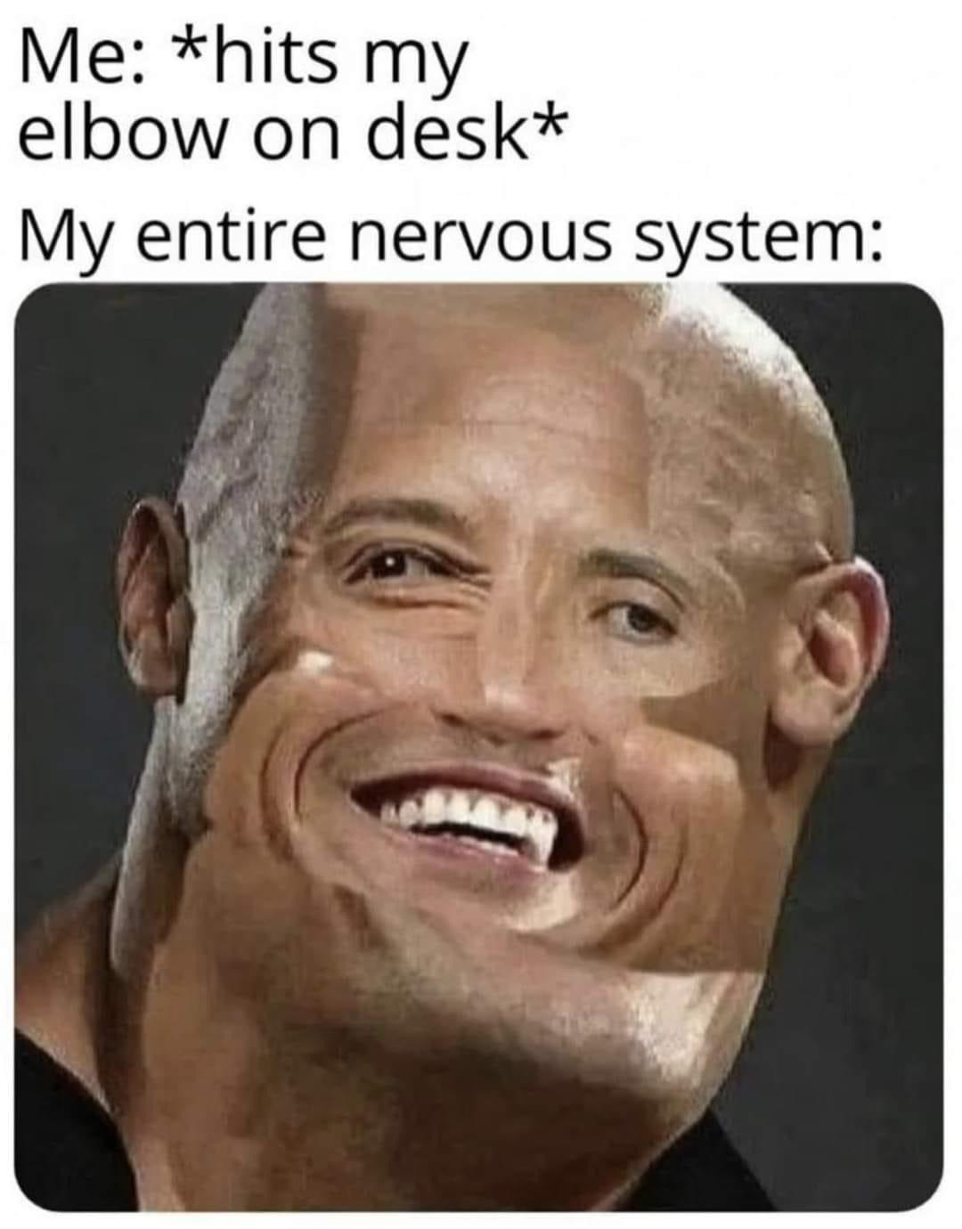 funny memes - head - Me hits my elbow on desk My entire nervous system
