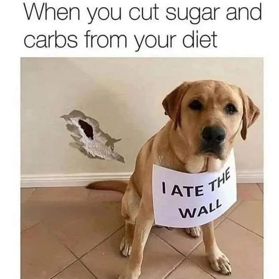 funny memes - cut carbs and i ate the wall dog - When you cut sugar and carbs from your diet Late The Wall