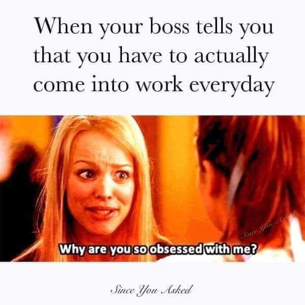 funny memes - funny work memes - When your boss tells you that you have to actually come into work everyday Since You Nall Why are you so obsessed with me? Since You Asked