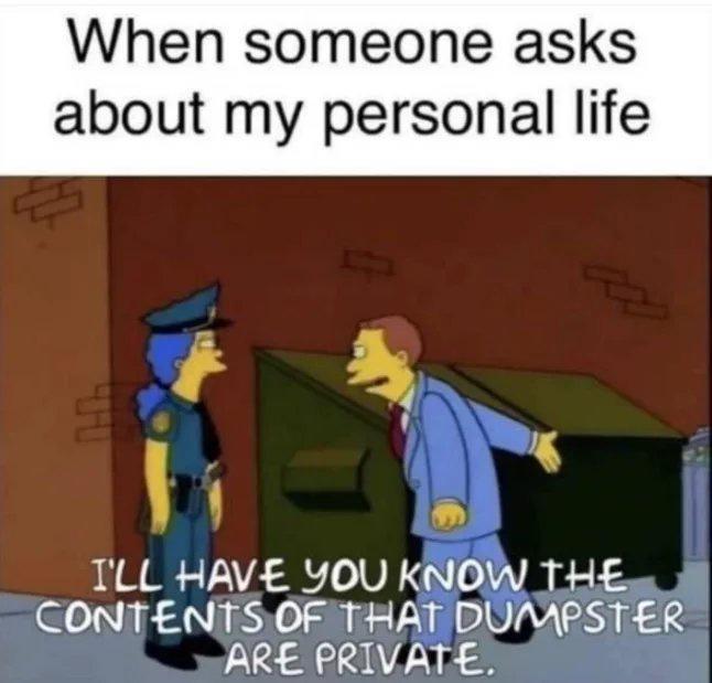 funny memes - cartoon - When someone asks about my personal life Thu I'Ll Have You Know The Contents Of That Dumpster Are Private.