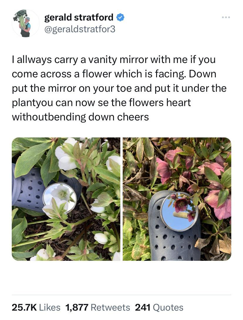 funny tweets - flora - gerald stratford I allways carry a vanity mirror with me if you come across a flower which is facing. Down put the mirror on your toe and put it under the plantyou can now se the flowers heart withoutbending down cheers 1,877 241 Qu