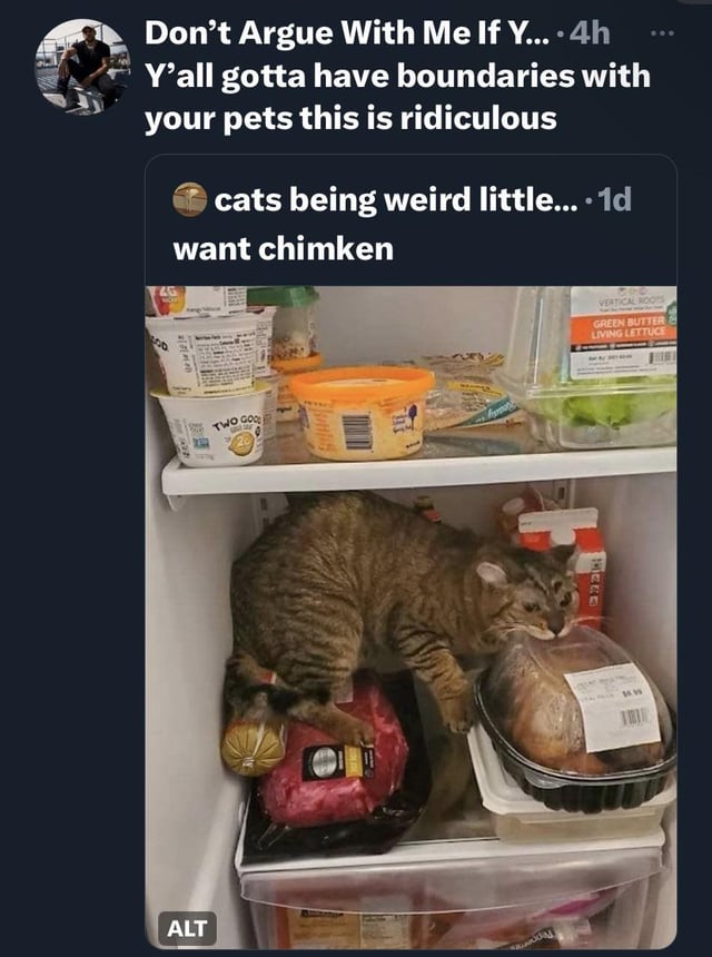 funny tweets - cat - Don't Argue With Me If Y... 4h Y'all gotta have boundaries with your pets this is ridiculous cats being weird little.... 1d want chimken 1228 Alt Two Goo. hom 700 Vertical Roots Green Butter Living Lettuce Mere ww 11