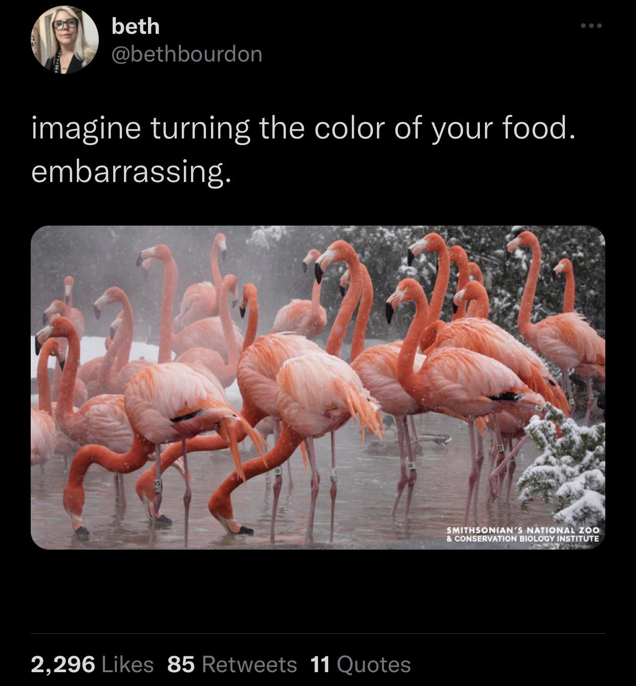funny tweets - winter flamingo - beth imagine turning the color of your food. embarrassing. 2,296 85 11 Quotes Smithsonian'S National Zoo & Conservation Biology Institute