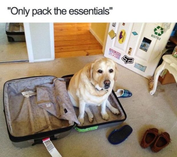 fresh memes --  packing only essentials meme - "Only pack the essentials" Recycle