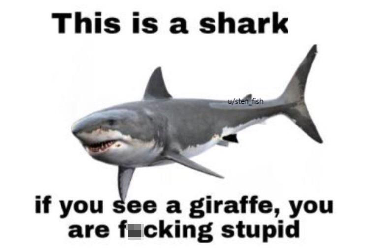 fresh memes - great white shark png - This is a shark usten_fish if you see a giraffe, you are fucking stupid