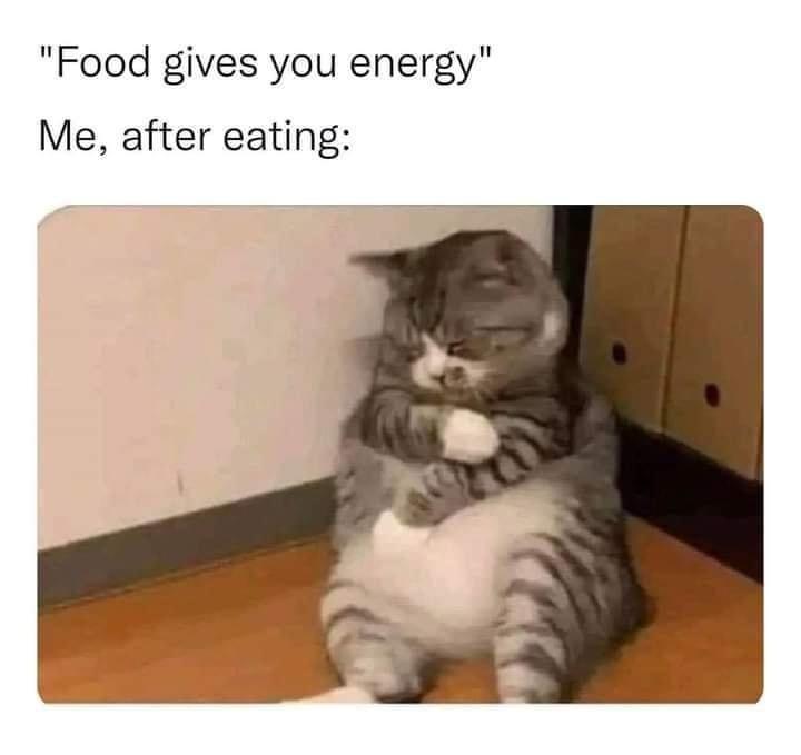 fresh memes - photo caption - "Food gives you energy" Me, after eating