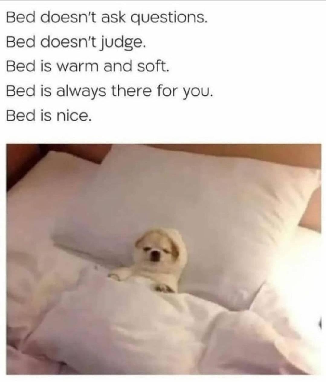 fresh memes - meme bed - Bed doesn't ask questions. Bed doesn't judge. Bed is warm and soft. Bed is always there for you. Bed is nice.