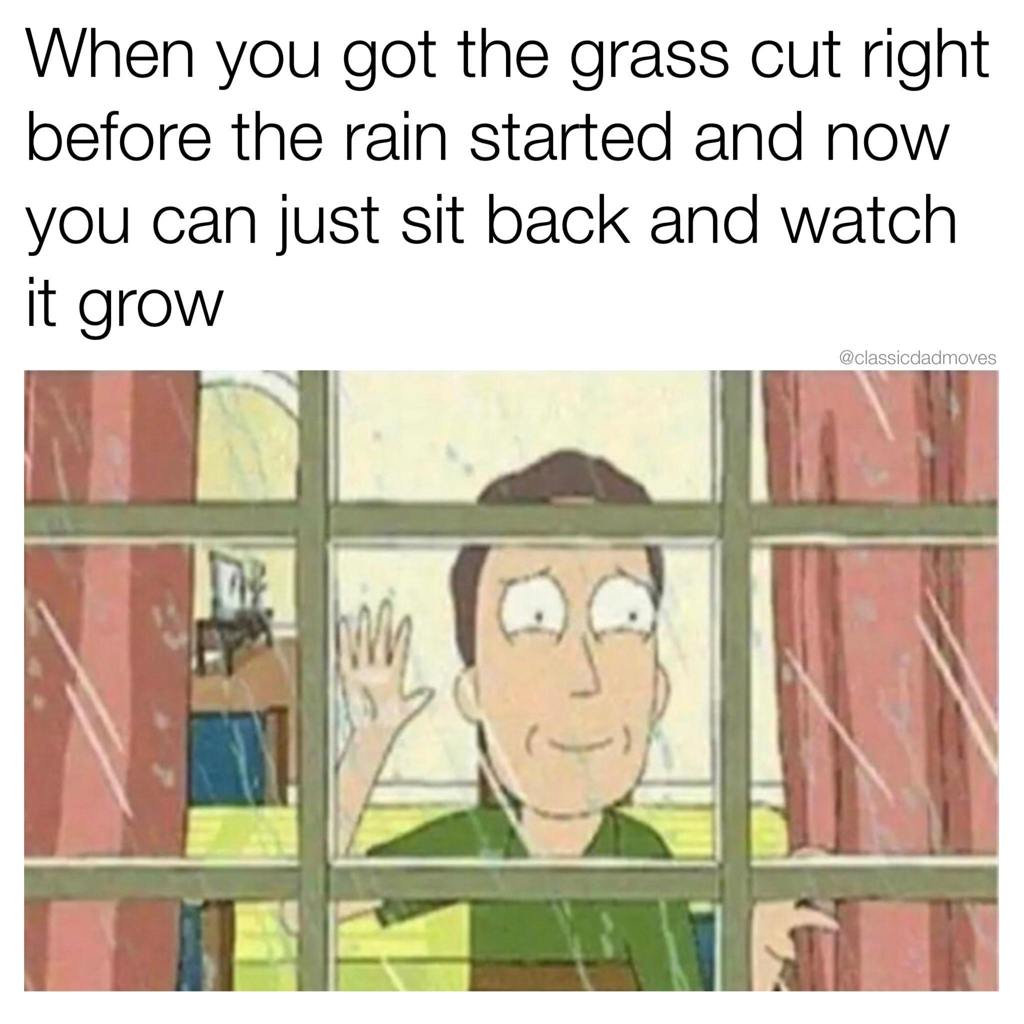 funny memes and pics - cartoon - When you got the grass cut right before the rain started and now you can just sit back and watch it grow The Im