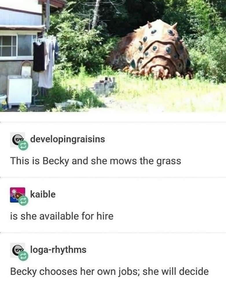 funny memes and pics - becky and she mows the grass - developingraisins This is Becky and she mows the grass kaible is she available for hire logarhythms Becky chooses her own jobs; she will decide