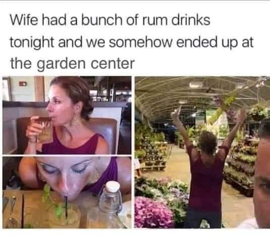 funny memes and pics - floral design - Wife had a bunch of rum drinks tonight and we somehow ended up at the garden center