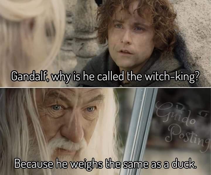 monday morning randomness - photo caption - Gandalf, why is he called the witchking? Guido Posting Because he weighs the same as a duck.
