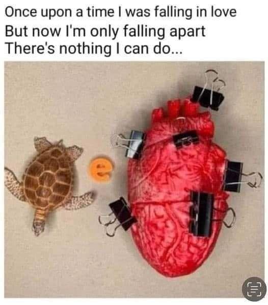 monday morning randomness - turtle e clip heart - Once upon a time I was falling in love But now I'm only falling apart There's nothing I can do... Oc
