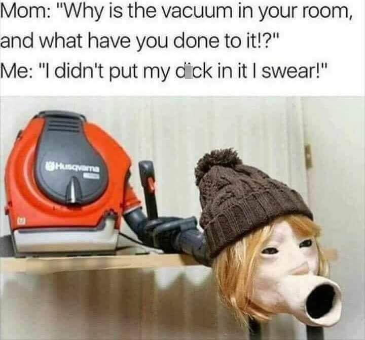 dank memes - photo caption - Mom "Why is the vacuum in your room, and what have you done to it!?" Me "I didn't put my dick in it I swear!" Husqvarna