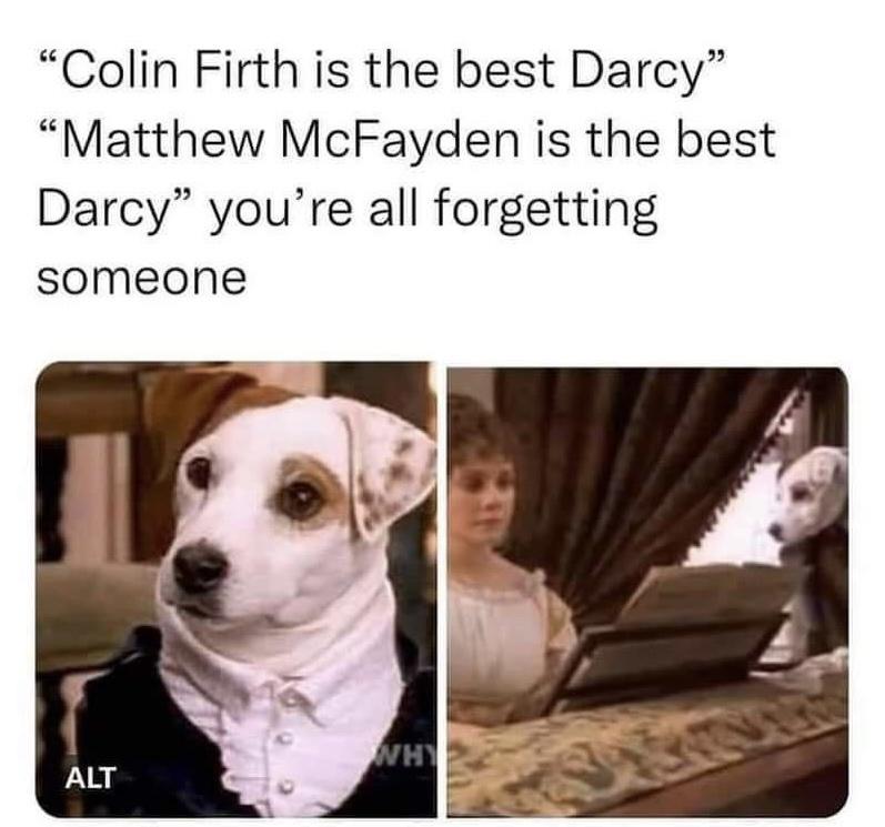dank memes - photo caption - "Colin Firth is the best Darcy" "Matthew McFayden is the best Darcy" you're all forgetting someone Alt Why