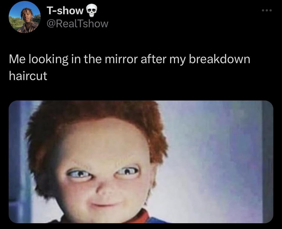 funny tweets - dining - Tshow Me looking in the mirror after my breakdown haircut