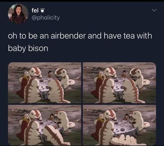 funny tweets - human - fel oh to be an airbender and have tea with baby bison