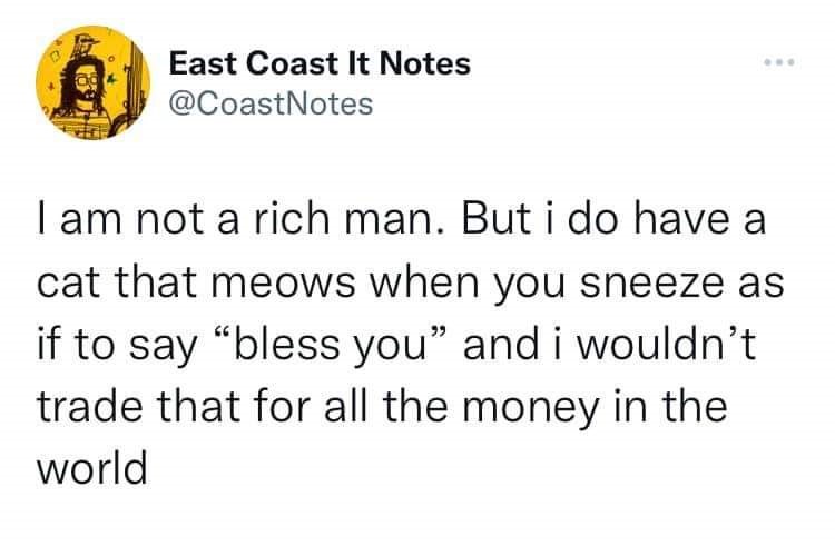 funny tweets - Photograph - East Coast It Notes I am not a rich man. But i do have a cat that meows when you sneeze as if to say "bless you" and i wouldn't trade that for all the money in the world