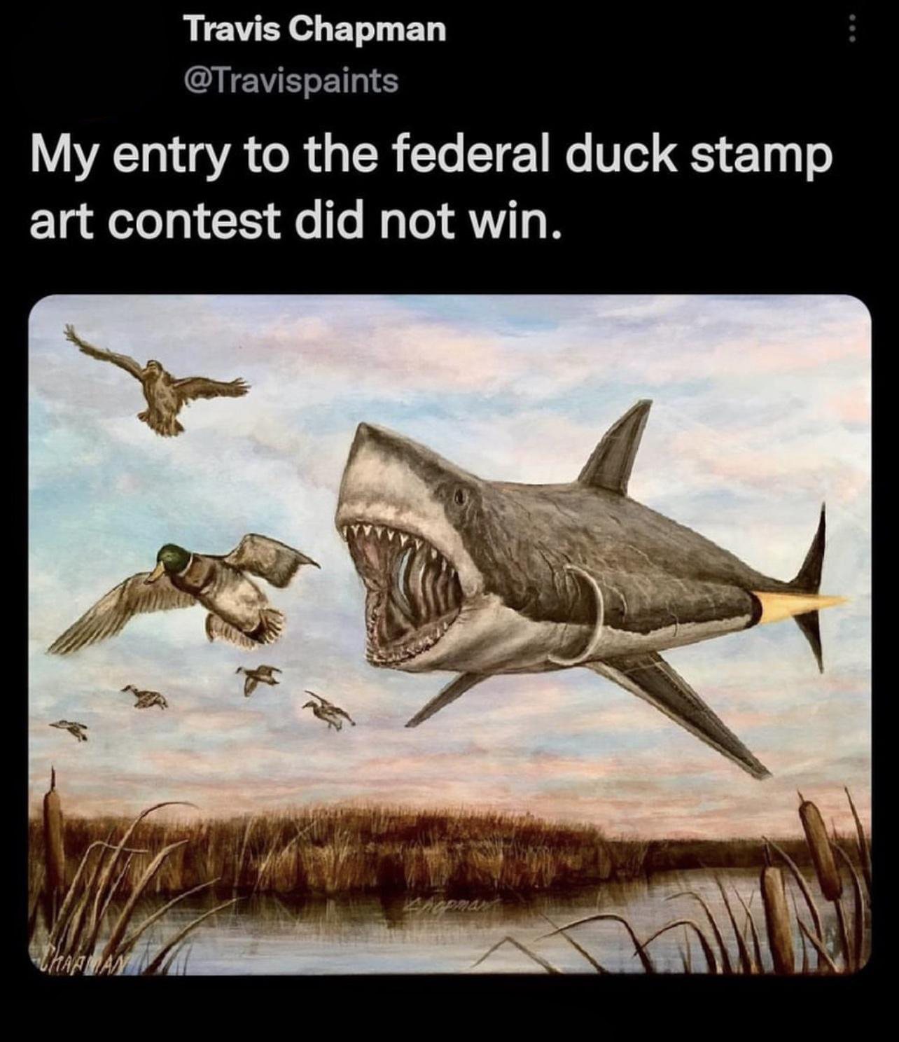 funny tweets - federal duck stamp art contest shark - Travis Chapman My entry to the federal duck stamp art contest did not win.