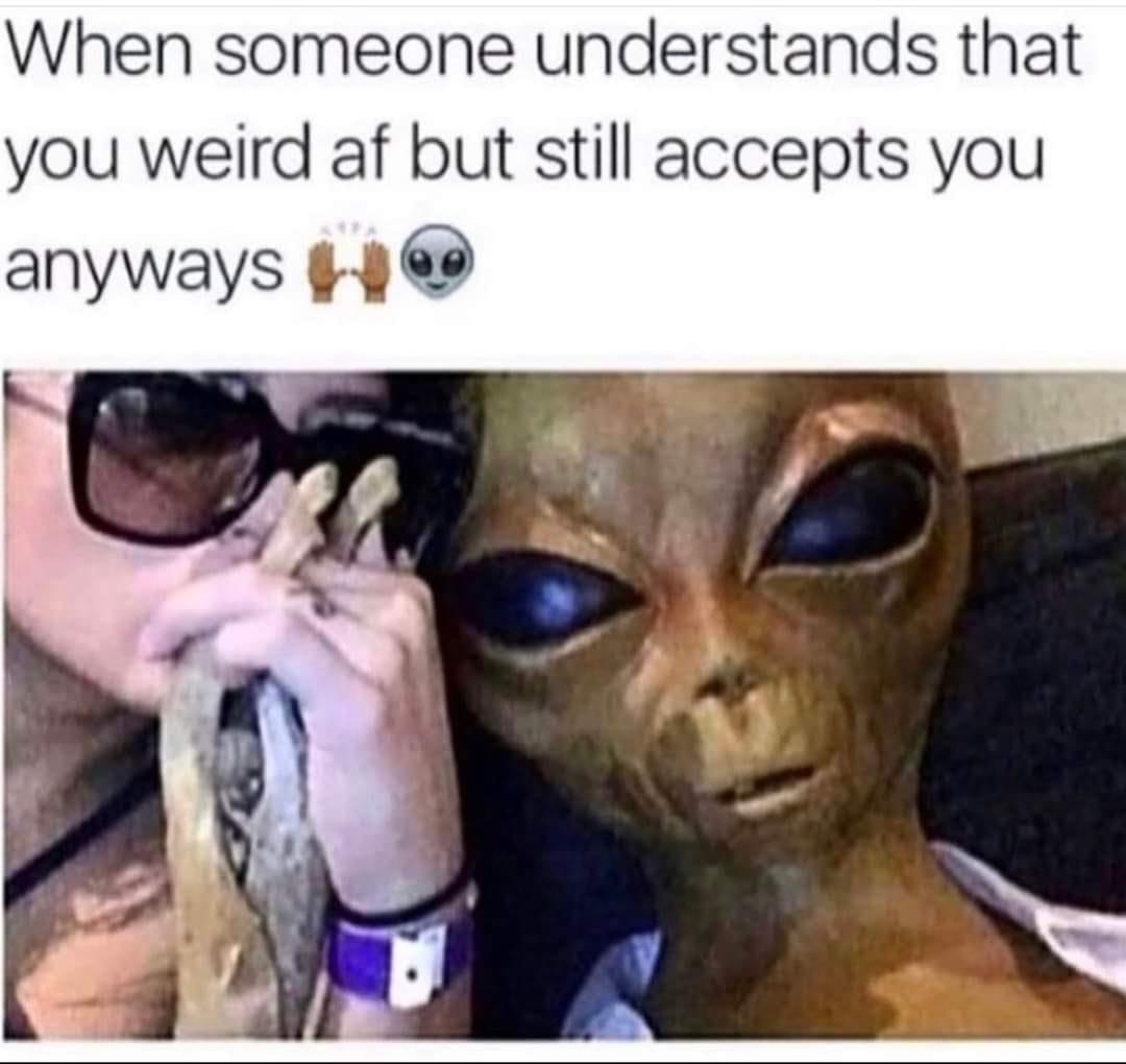 funny memes - you weird meme - When someone understands that you weird af but still accepts you anyways