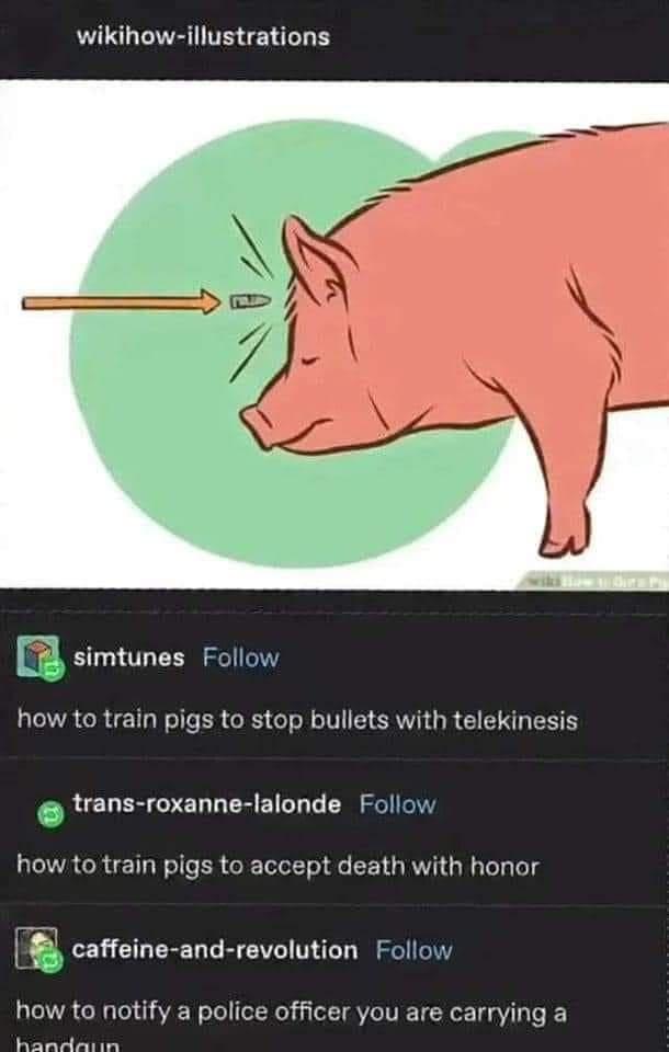 funny memes - cartoon - wikihowillustrations simtunes how to train pigs to stop bullets with telekinesis transroxannelalonde how to train pigs to accept death with honor caffeineandrevolution how to notify a police officer you are carrying a handgun