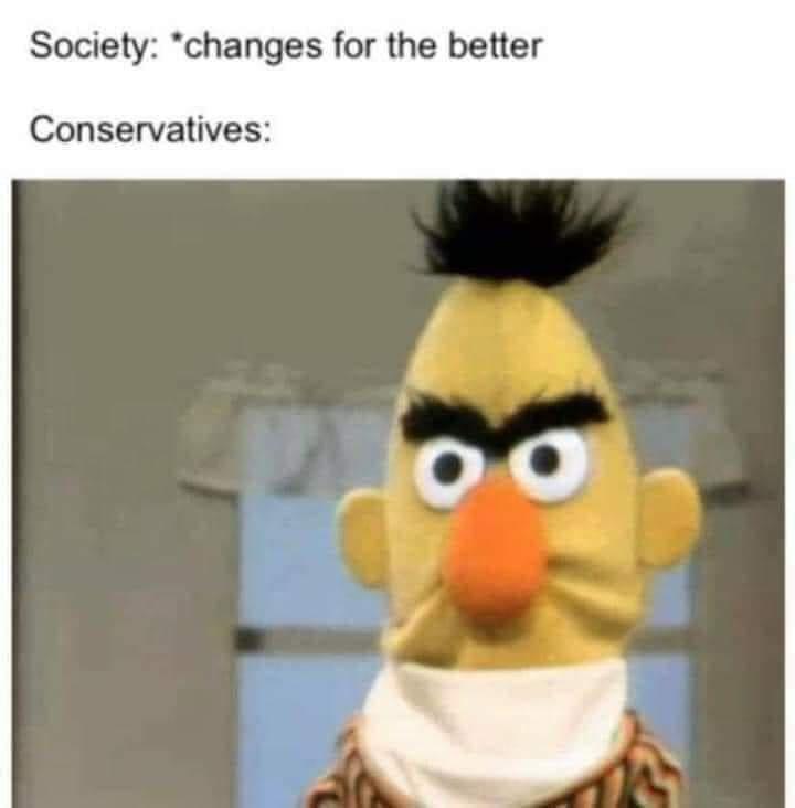 funny memes - photo caption - Society changes for the better Conservatives