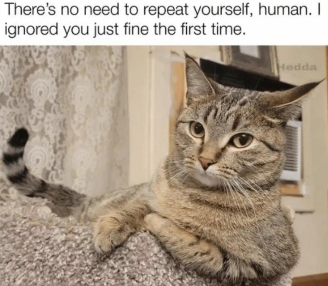 dank memes - - - There's no need to repeat yourself, human. I ignored you just fine the first time. Hedda