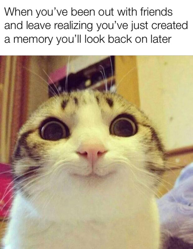 dank memes - Meme - When you've been out with friends and leave realizing you've just created a memory you'll look back on later