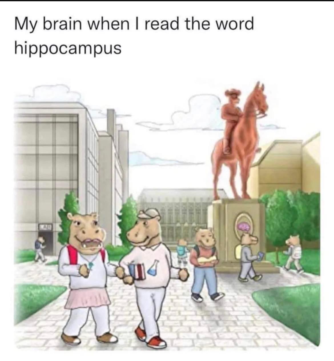 dank memes - my brain when i read the word hippocampus - My brain when I read the word hippocampus Ju