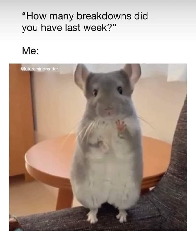 dank memes - chinchilla - "How many breakdowns did you have last week?" Me