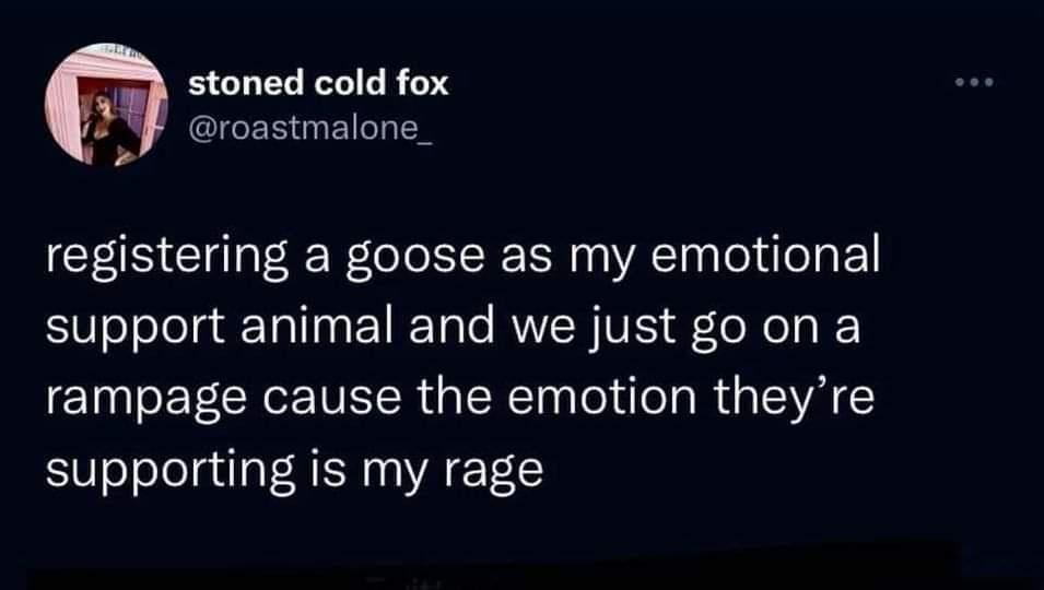 dank memes - Funny meme - stoned cold fox registering a goose as my emotional support animal and we just go on a rampage cause the emotion they're supporting is my rage