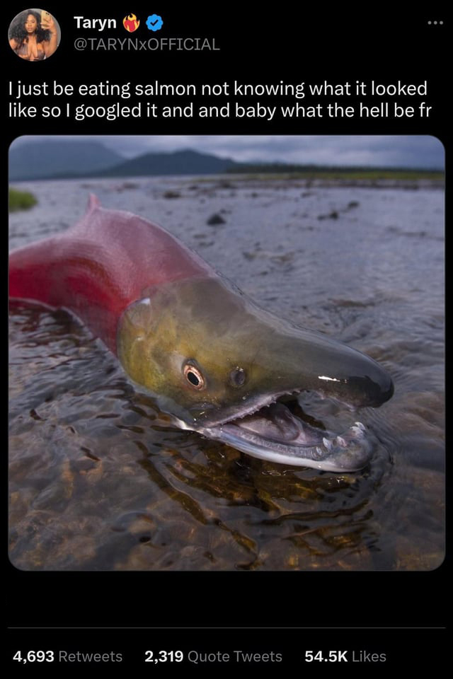 funny tweets and memes - salmon fish - Taryn I just be eating salmon not knowing what it looked so I googled it and and baby what the hell be fr 4,693 2,319 Quote Tweets