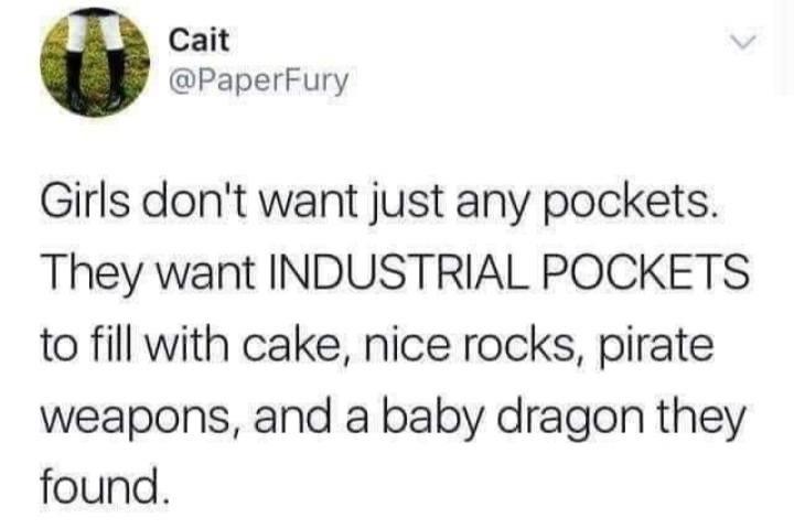 funny tweets and memes - paper fury tweets - Cait Girls don't want just any pockets. They want Industrial Pockets to fill with cake, nice rocks, pirate weapons, and a baby dragon they found.