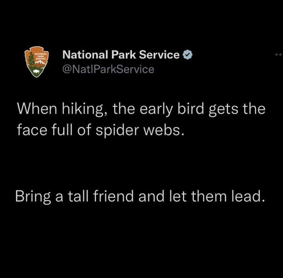 funny tweets and memes - atmosphere - National Park Service National Park Service When hiking, the early bird gets the face full of spider webs. Bring a tall friend and let them lead.