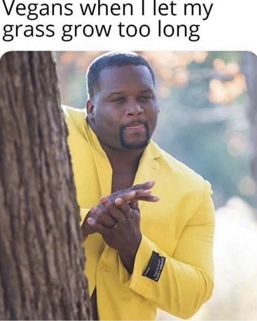 funny memes pics and tweets - photo caption - Vegans when I let my grass grow too long Super 160'S