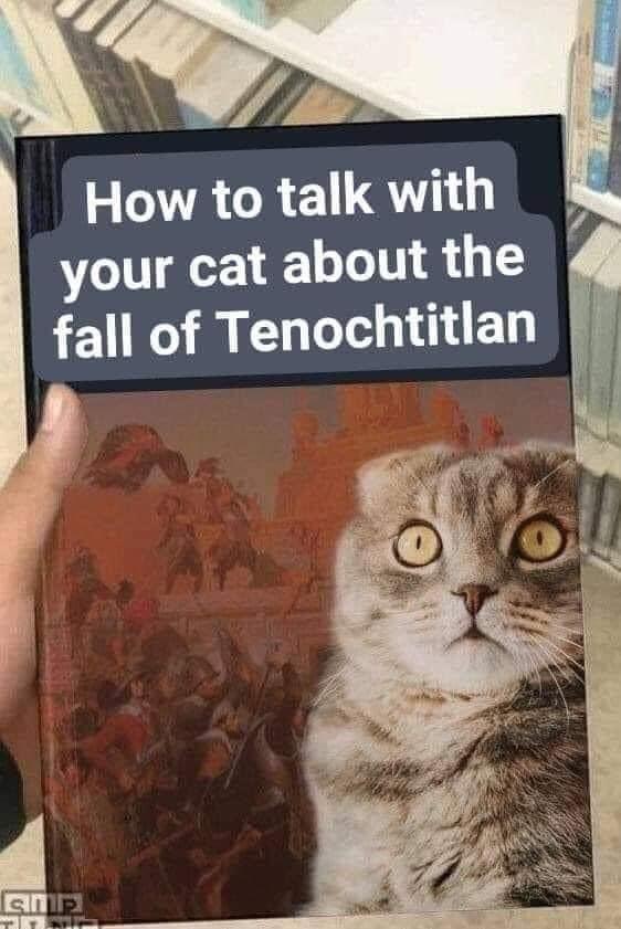 funny memes and cool pics - cat - How to talk with your cat about the fall of Tenochtitlan Sip Tee